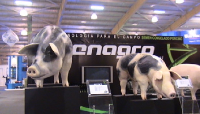 agroexpo