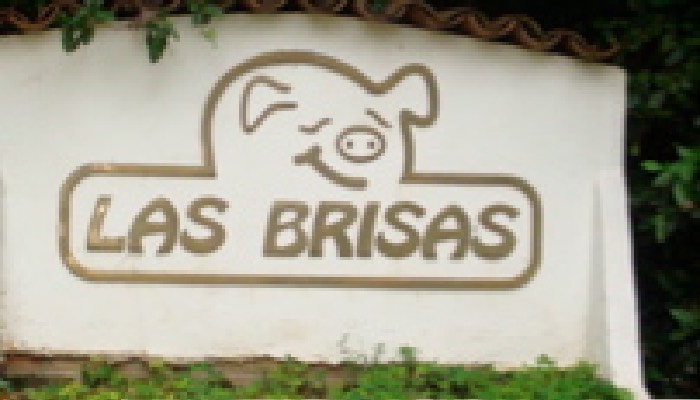 LAS BRISAS